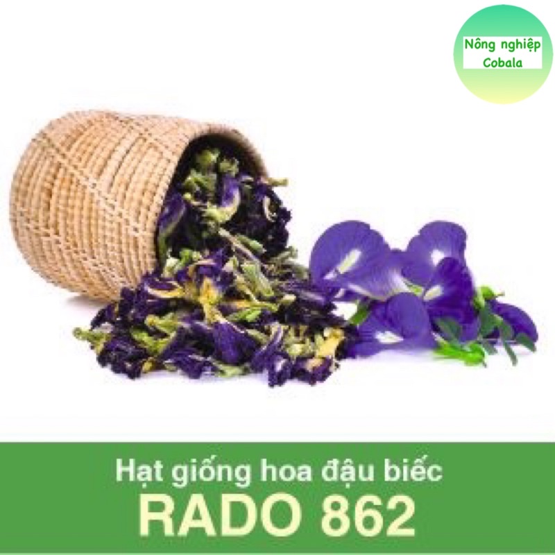 Hạt Giống Hoa Đậu Biếc Gói 2gr