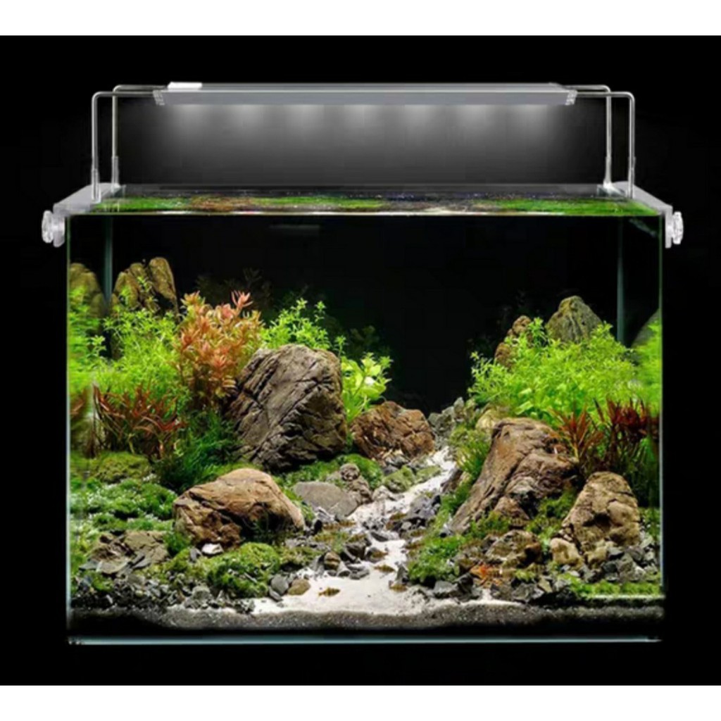 Đèn led aqua blue- đèn led chuyên dụng cho cây thủy sinh ánh sáng 10000k cho bể từ 30-60cm