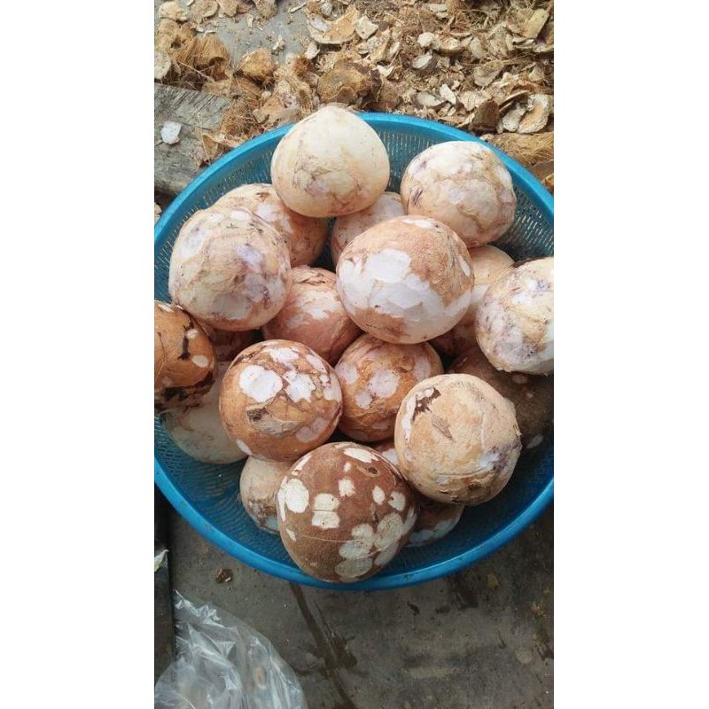 Dầu dừa nấu thủ công chuẩn dừa Bến Tre thơm lừng