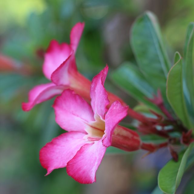 thietbivesinh123, Cửa hàng trực tuyến | BigBuy360 - bigbuy360.vn