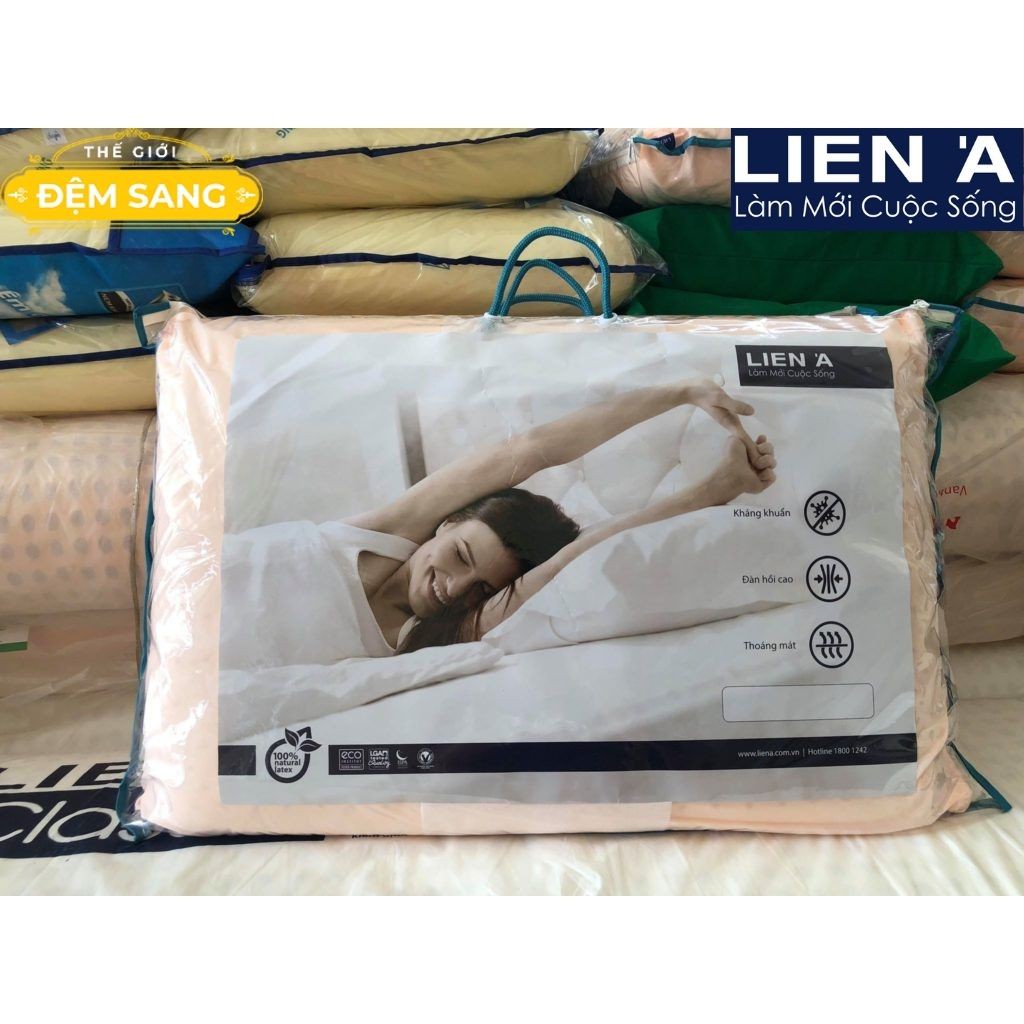 Gối cao su thiên nhiên 100% OVAL - Cao Cấp Liên Á - Mang đến giấc ngủ thoáng mát nhất GCS105