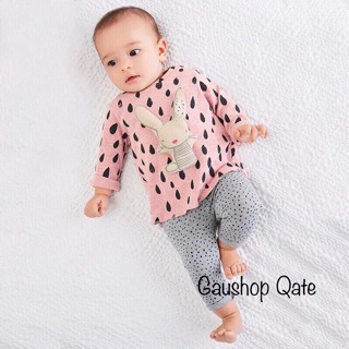 Bộ thỏ Little Maven