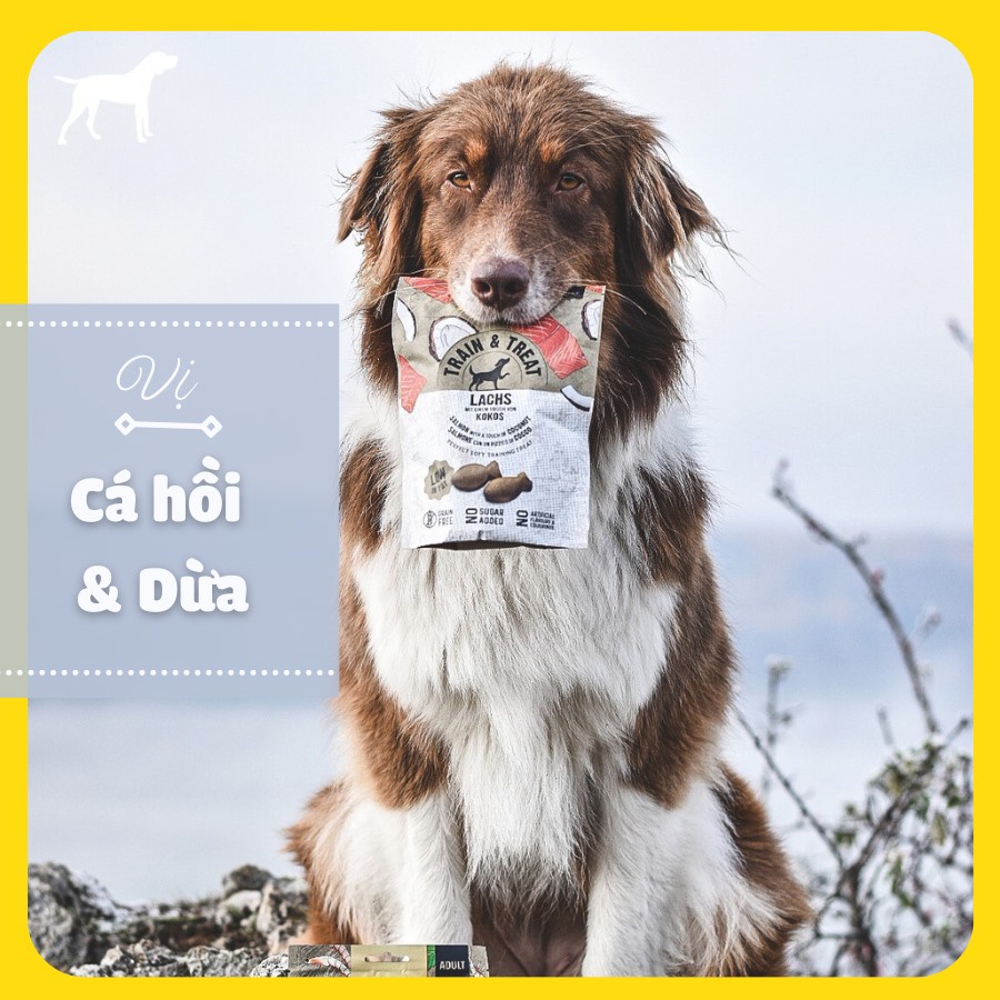 125g - GIMDOG TRAIN &amp; TREAT - Snack hỗ trợ huấn luyện cho chó