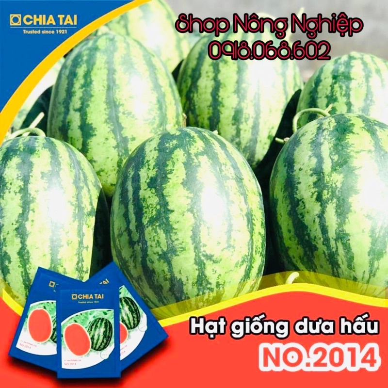 Hạt giống Dưa Hấu F1 Thái Lan 2014 CHIATAI