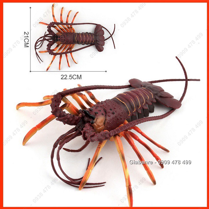 Mô Hình Tôm Càng Tôm Hùm Lobster - 22cm - 7676.4