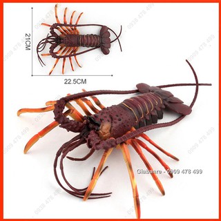 Mô Hình Tôm Hùm Tôm Càng Lobster - 7676
