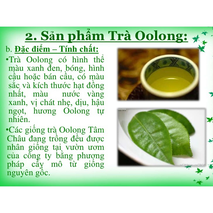 TRÀ OLONG TÂM CHÂU GÓI 250 GRAM HÀNG CAO CẤP - XUẤT XỨ CHÍNH HÃNG LÂM ĐỒNG ĐÀ LẠT