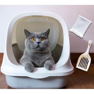 nhà vệ sinh cho mèo 🐈🐈🐈