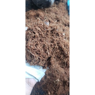 Mụn dừa trồng cây 1kg/7k
