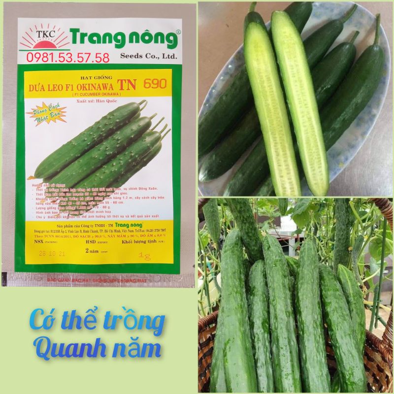 Hạt giống dưa chuột kiếm Nhật chịu nhiệt TN gần 50 hạt, siêu năng suất