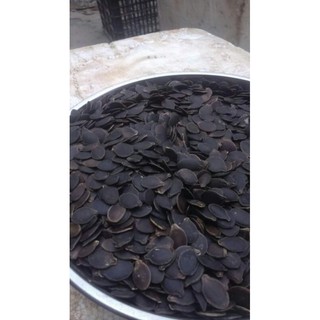 Sỉ giá gốc 1kg hạt bí mèo đen sống
