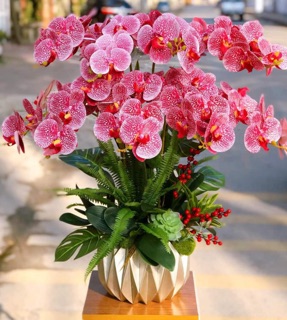 Bình trám thấp