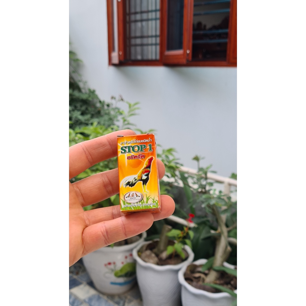 STOP 1- Thuố c trị Tang cho gà chọi  gà nòi - Giúp gà mau lành vết thương, tan máu bầm nhanh, không để lại ké, phù trong
