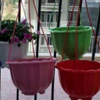 Xả kho 20 chậu kèm quai treo rộng 22cm