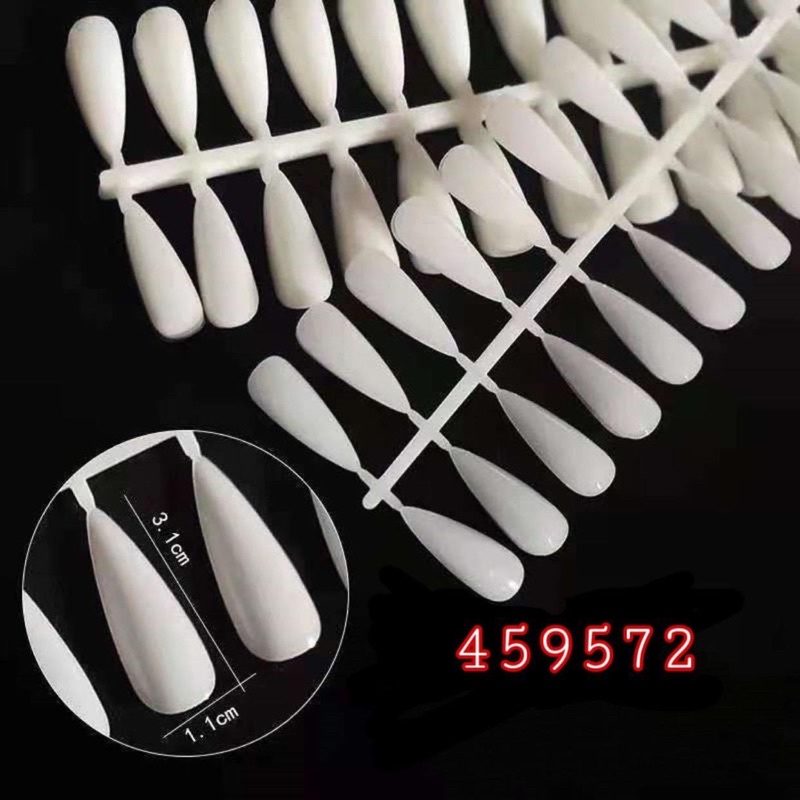 Vĩ móng nhọn tập sơn , tập vẽ