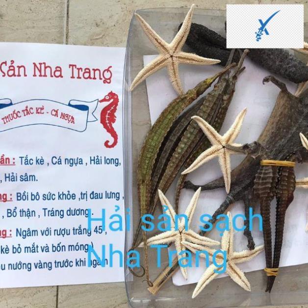 💁‍♀️Bộ gồm: 2 con cá ngựa + 1 tắc kè + 4 hải long + 6 sao biển 🌺✅