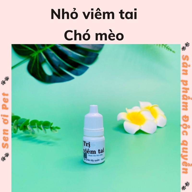 Combo Nhỏ viêm tai chó mèo