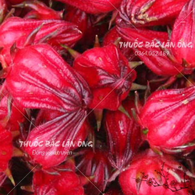 Trà Atiso Đỏ 100g (Hoa Dâm Bụt, Hibicus)
