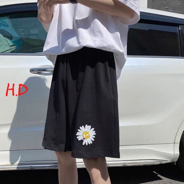Quần đùi hoa cúc HĐ12