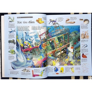 Sách-Thử tài tìm kiếm (mã lẻ)