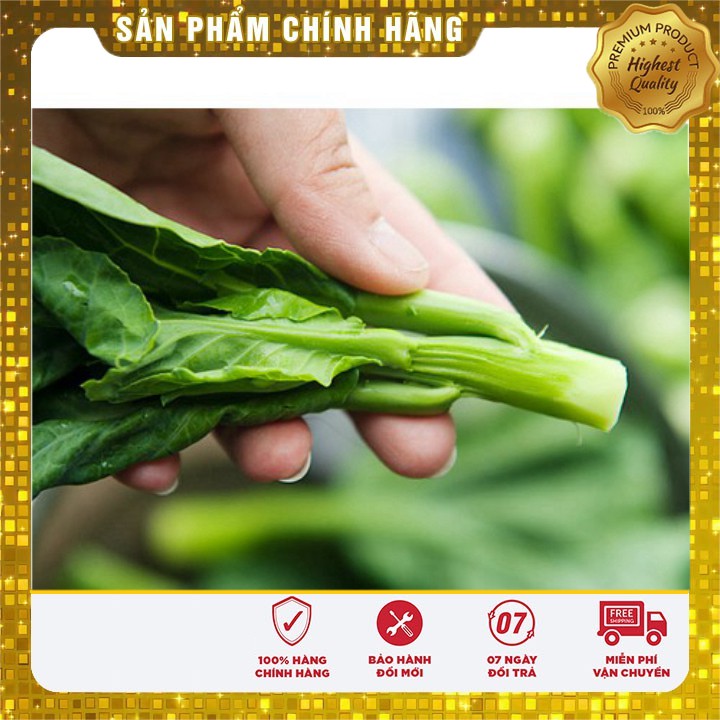 Hạt giống Rau Cải Ngồng Mập ( 20 gram)