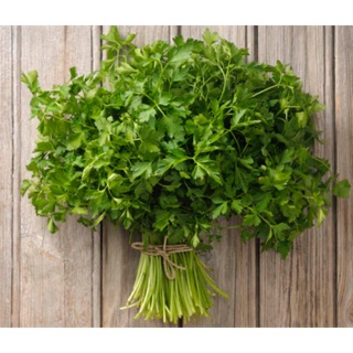 CÂY RAU NGÒ TÂY - CÂY PARSLEY - CÂY GIA VỊ TÂY