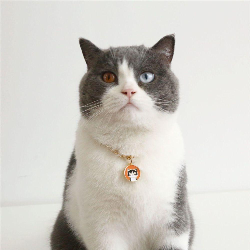 Vòng Cổ Mặt Hoạt Hình LAYOR1 Dành Cho Thú Cưng|Dây Chuyền Xích Thời Trang Cá Tính