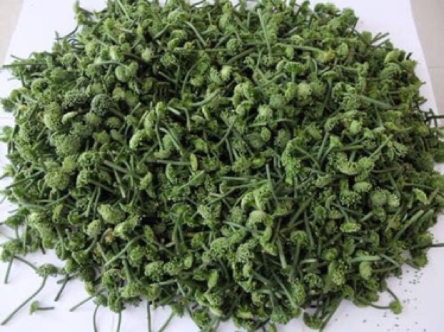 Nụ hoa tam thất 500g chuẩn xịn nhất | BigBuy360 - bigbuy360.vn