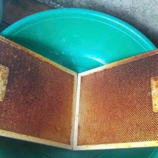 Tẩy rửa Sabo-M