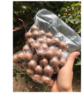 500 macca chuẩn ngon