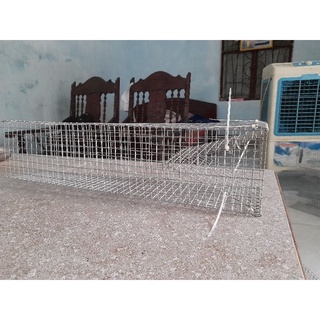 LỒNG BẪY RẮN CAO CẤP