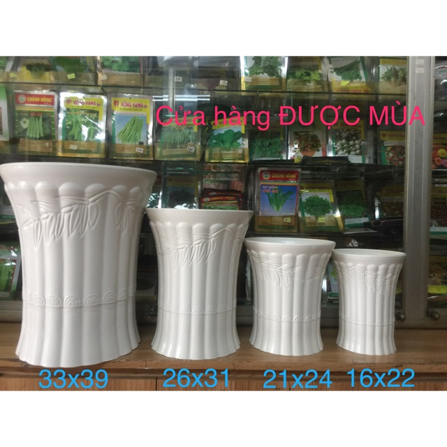 Chậu trúc 33x39cm- chậu nhựa trồng cây- size đại