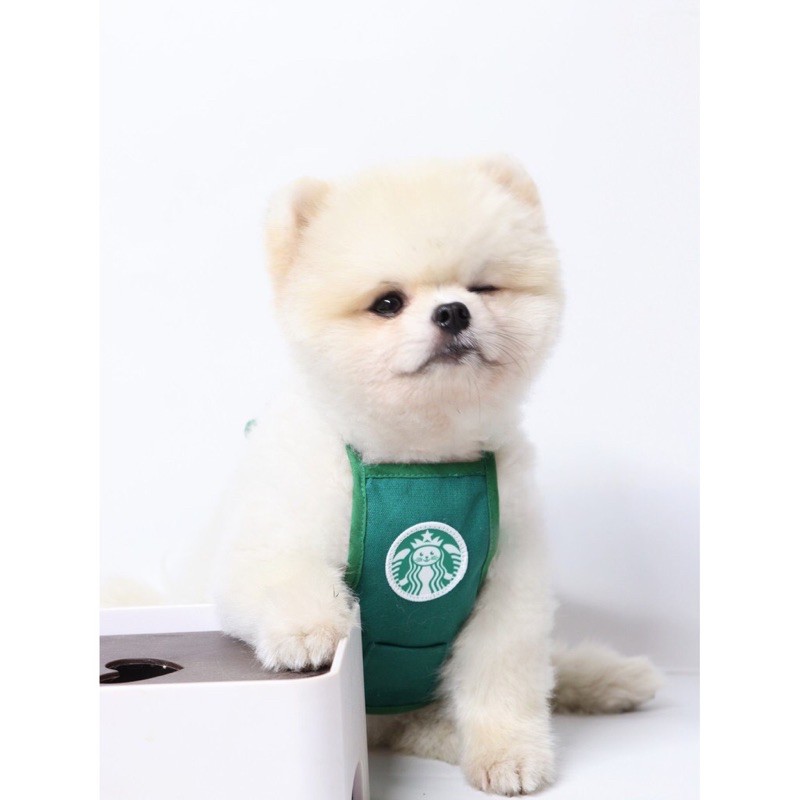 Yếm Đeo Starbucks Cho Chó Mèo Thú Cưng Siêu Cute Tặng Kèm Sticker Starbuck