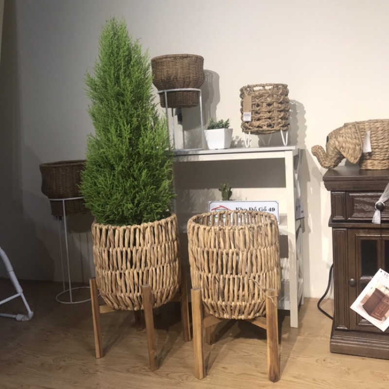 Sọt cây/ chậu cây hàng xuất Canada giá web 30-40$