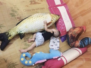 Cá chép bông size bự