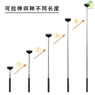 Cây Gãi Lưng 5 Mức 20-68cm