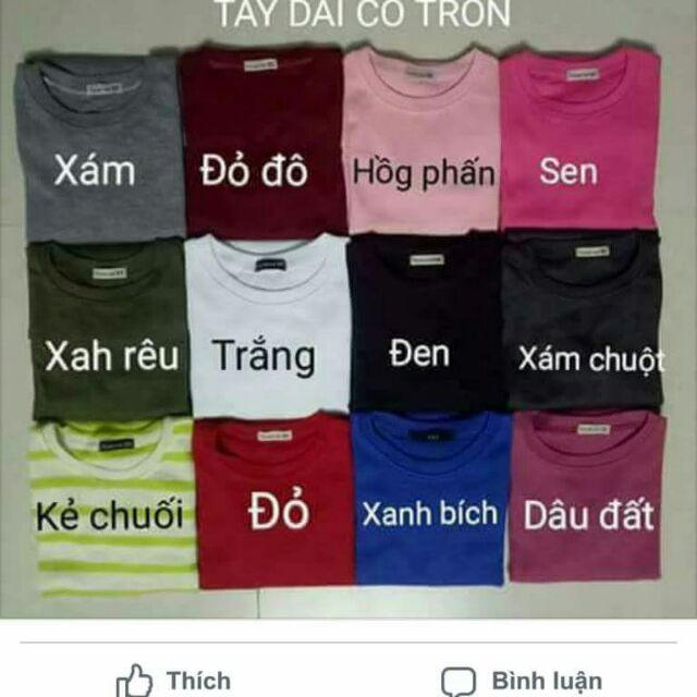 áo thun gân lụa