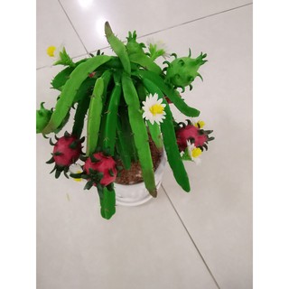 Cây Thanh Long đất sét (hàng thủ công)