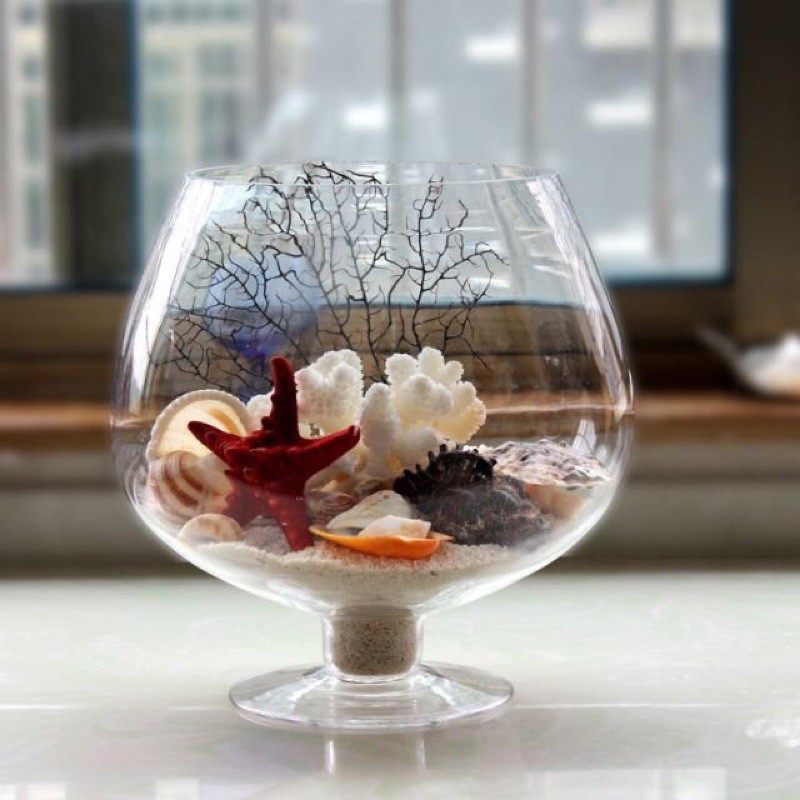 Bình Hoa thủy tinh trang trí 15cmx19cm