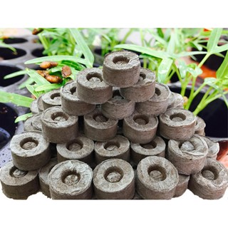 Viên nén xơ dừa (10v)