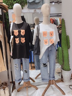 Áo pull gấu