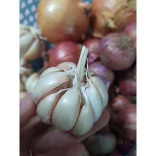Hành tím và tỏi