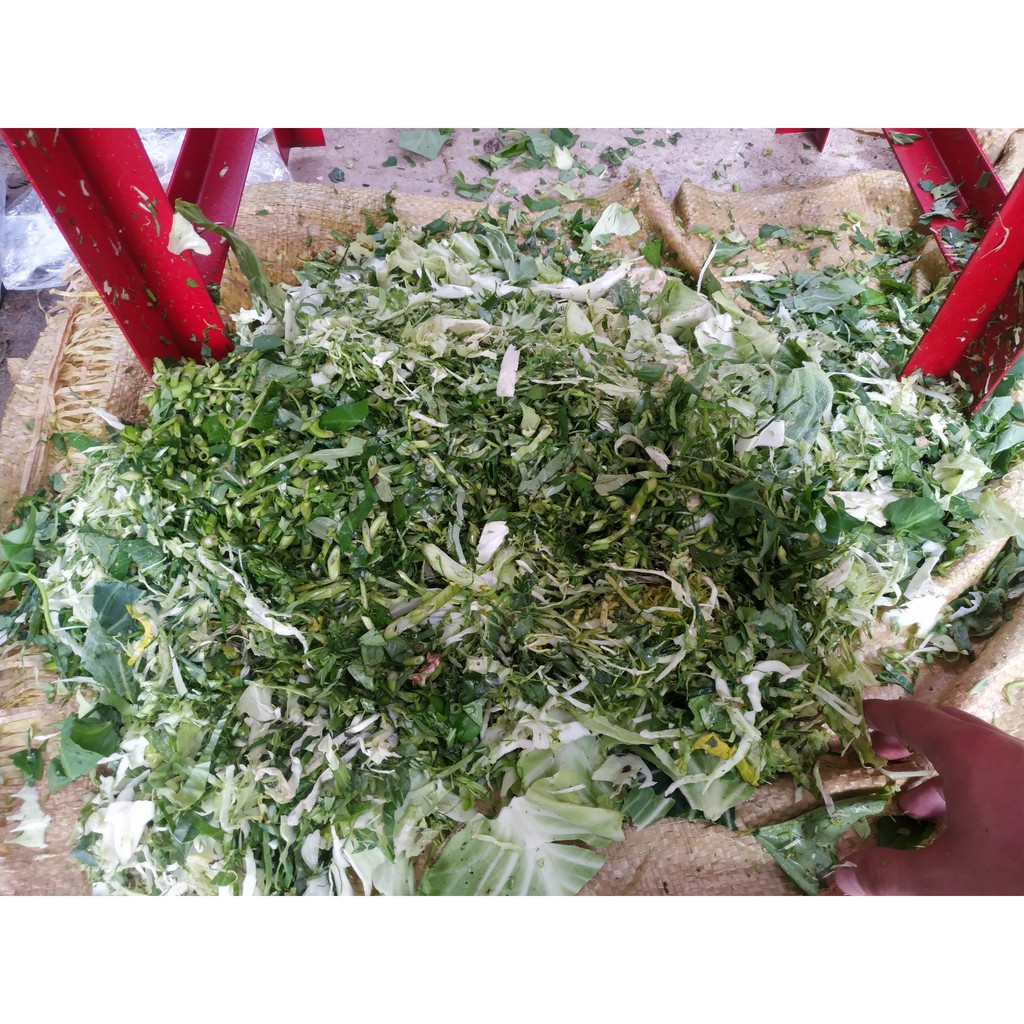 Máy băm cỏ vuông takyo TK15 dùng băm cỏ voi, băm bèo, băm rau các loại