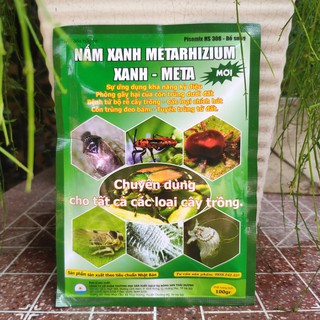 Nấm Xanh phòng ngừa côn trùng