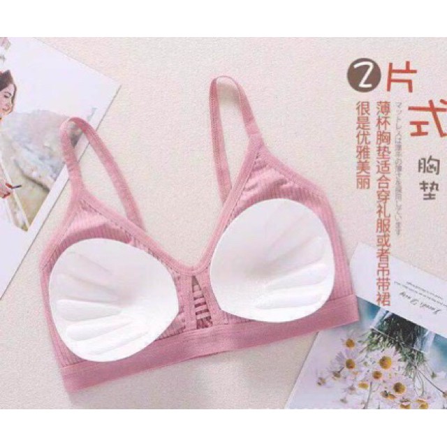 (Hot Bỏng Tay) Áo lót bra cotton gân tăm trẻ trung mã 8816