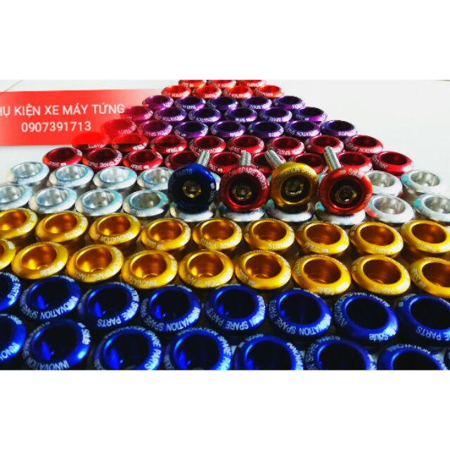 10 con ốc chén bững wave nhỏ