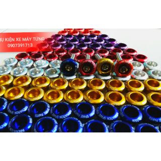 10 con ốc chén bững wave nhỏ