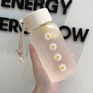 Bình nước hoa cúc, bình nước thủy tinh.