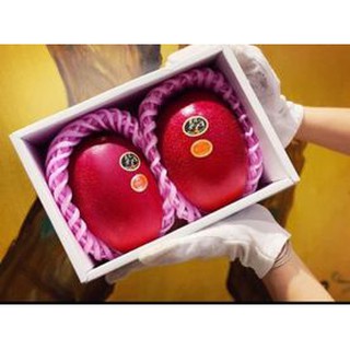 Cây xoài nhật bản