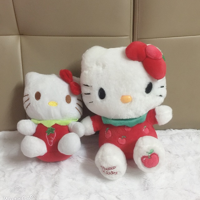 Set gấu bupbe